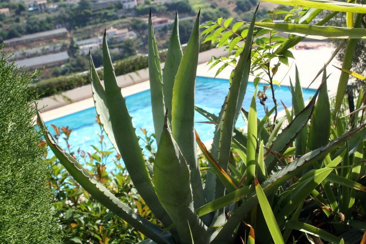 Studio Le Fabrina Riviera Nizza Kültér fotó
