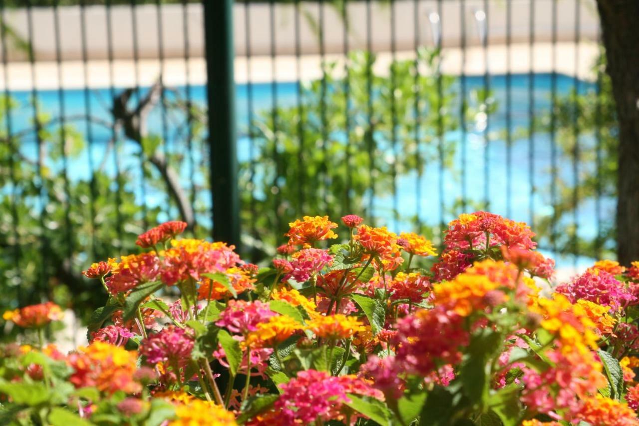 Studio Le Fabrina Riviera Nizza Kültér fotó